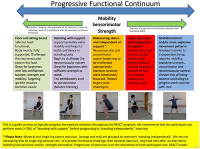 The REtirement in ACTion exercise programme and its effects on elements of long term functionality in older adults